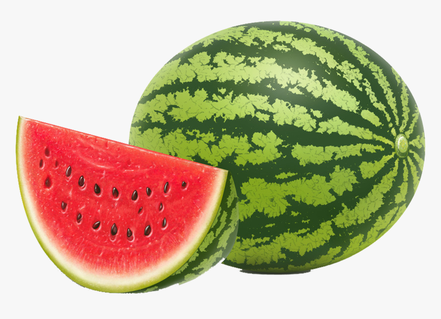 Detail Watermelon Transparent Background Nomer 9