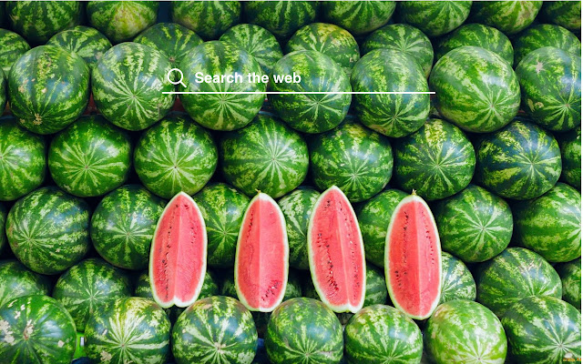 Detail Watermelon Wallpaper Hd Nomer 35