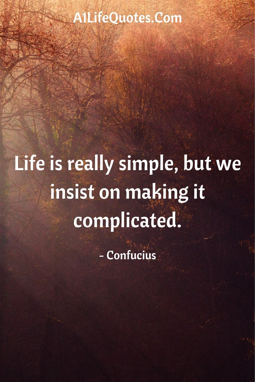 Simple Life Quotes In English - KibrisPDR