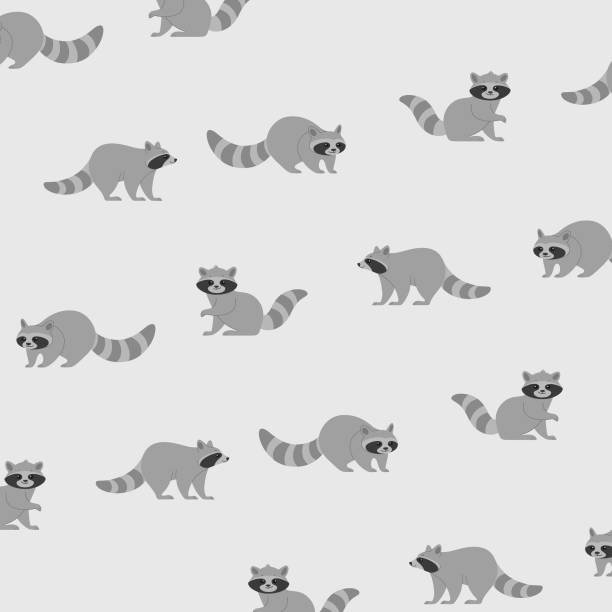 Detail Simple Raccoon Clipart Nomer 19