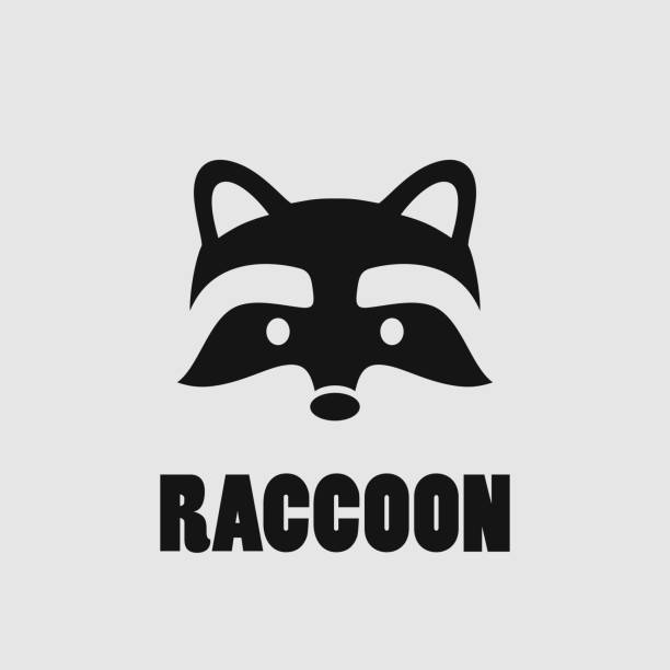 Detail Simple Raccoon Clipart Nomer 35