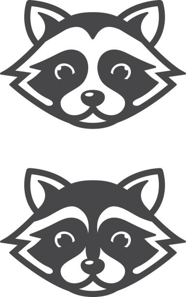 Detail Simple Raccoon Clipart Nomer 37