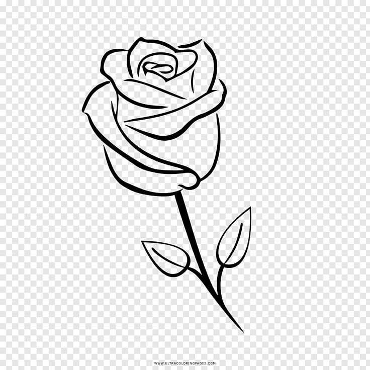 Simple Rose Png - KibrisPDR