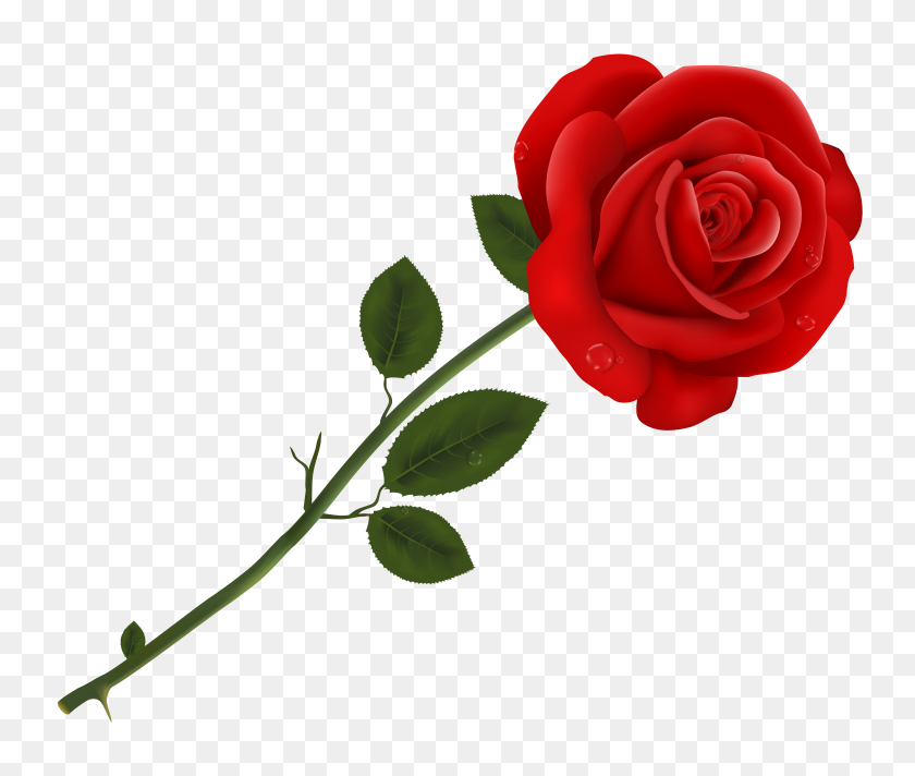 Detail Simple Rose Png Nomer 10