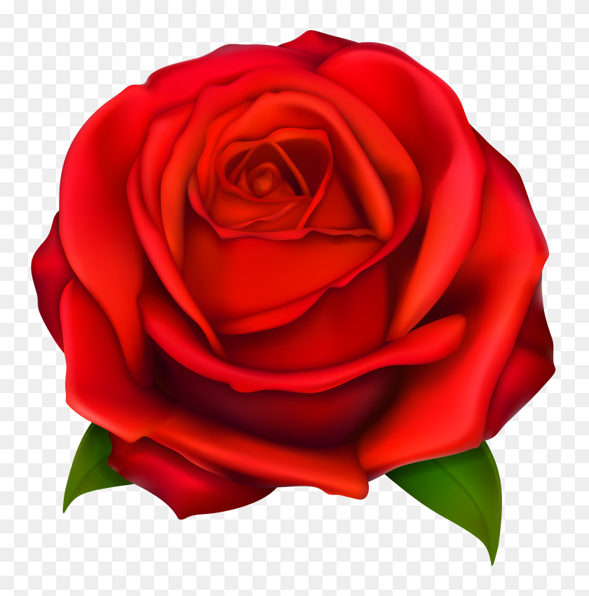 Detail Simple Rose Png Nomer 16