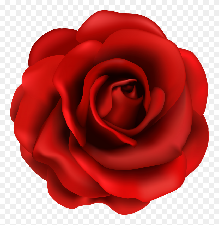 Detail Simple Rose Png Nomer 25