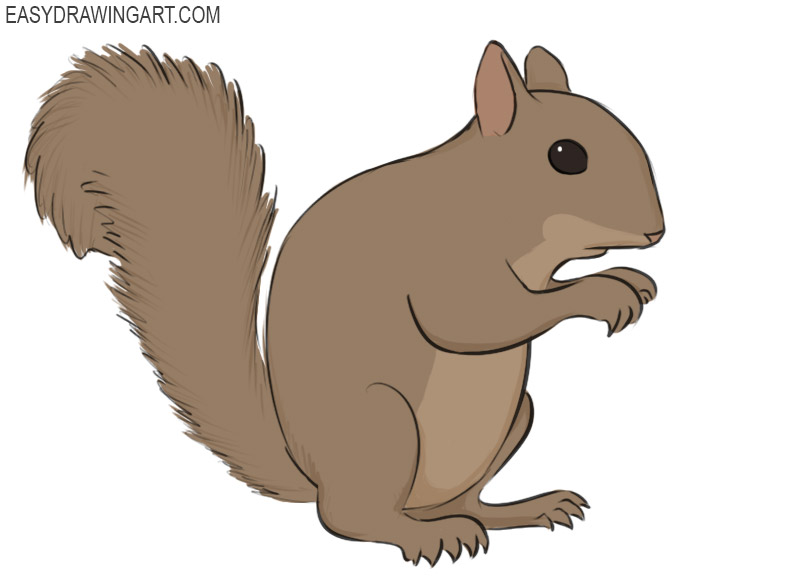 Detail Simple Squirrel Clipart Nomer 19