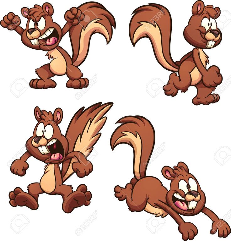 Detail Simple Squirrel Clipart Nomer 33