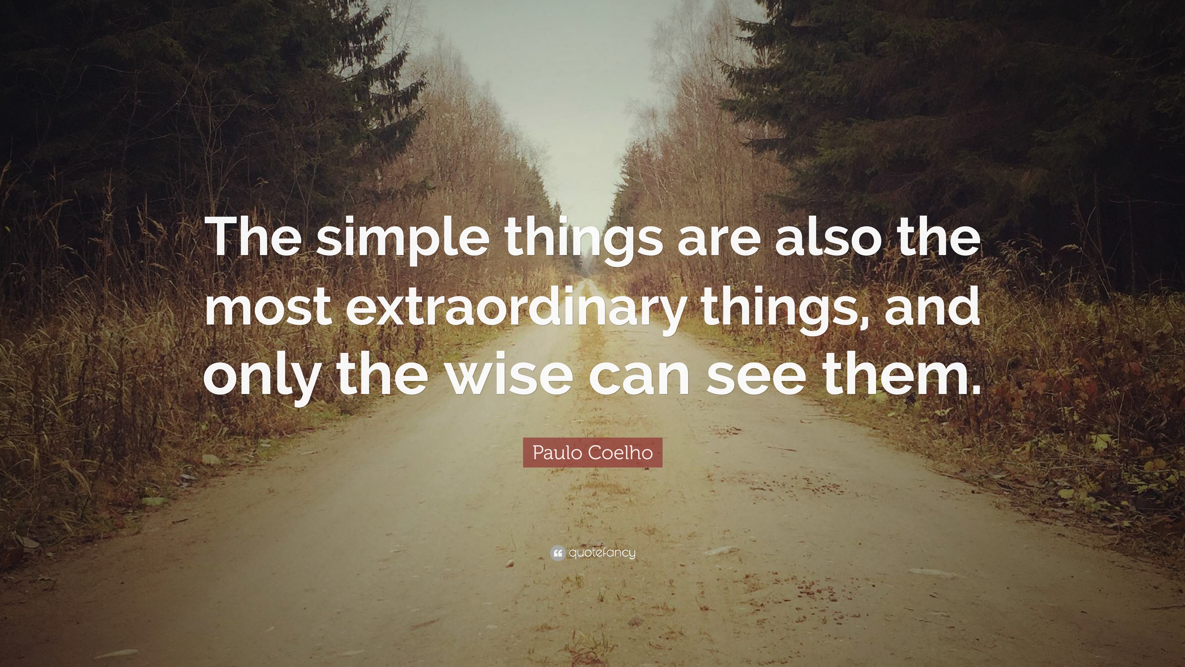 Detail Simple Things Quotes Nomer 44