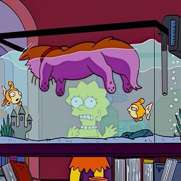 Detail Simpsons Aquarium Nomer 11