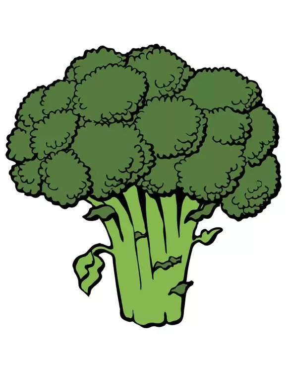 Detail Simpsons Broccoli Nomer 31