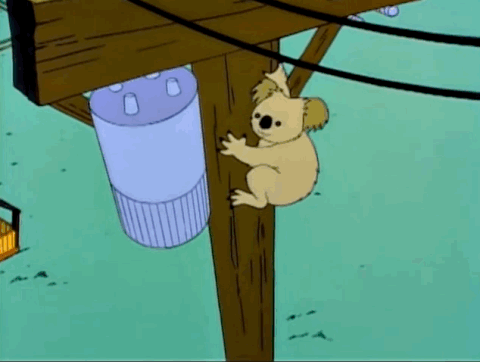 Detail Simpsons Koala Nomer 14