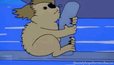 Detail Simpsons Koala Nomer 5