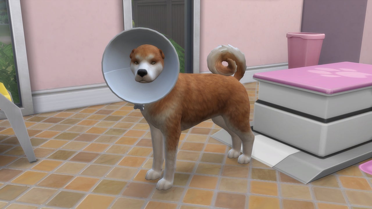 Detail Sims 4 Your Pet Needs You Exclamation Mark Nomer 9