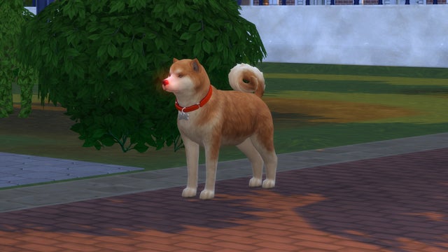 Detail Sims 4 Your Pet Needs You Exclamation Mark Nomer 16