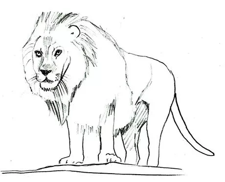 Detail Singa Kartun Hitam Putih Nomer 9