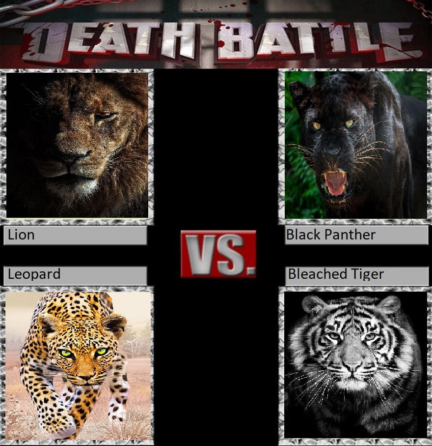 Detail Singa Vs Jaguar Nomer 47