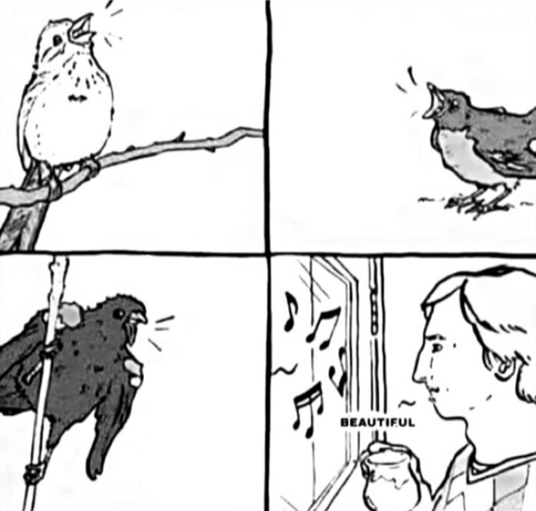 Detail Singing Bird Meme Nomer 30