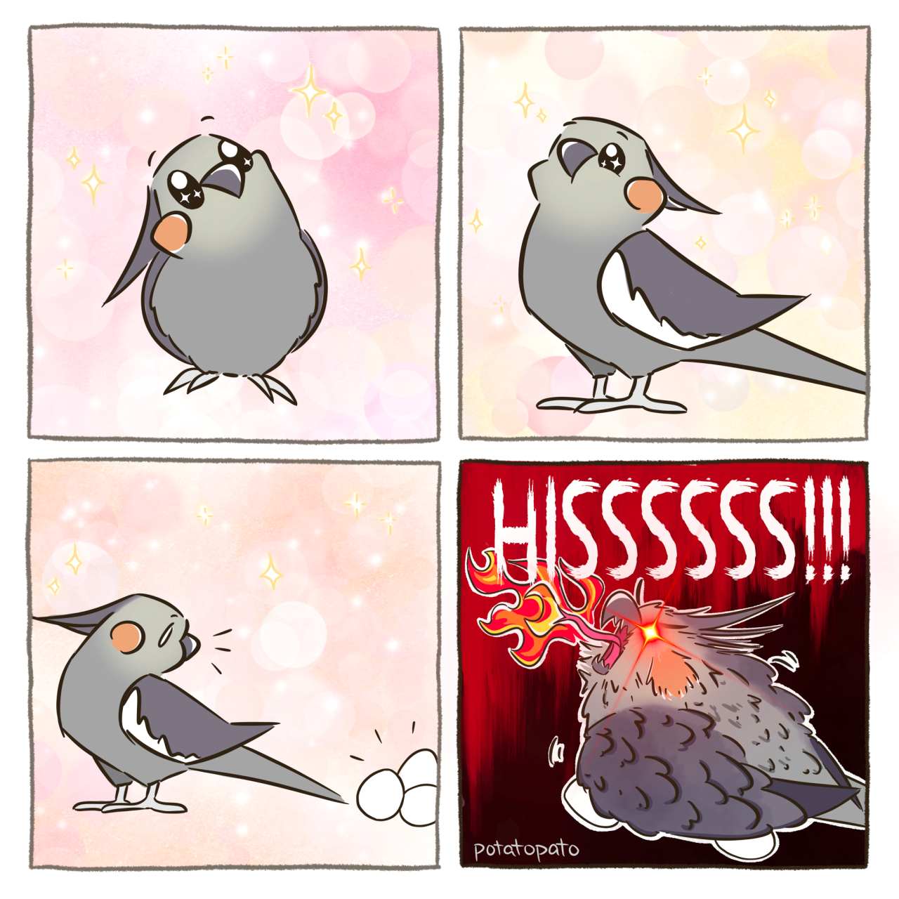 Detail Singing Bird Meme Nomer 39