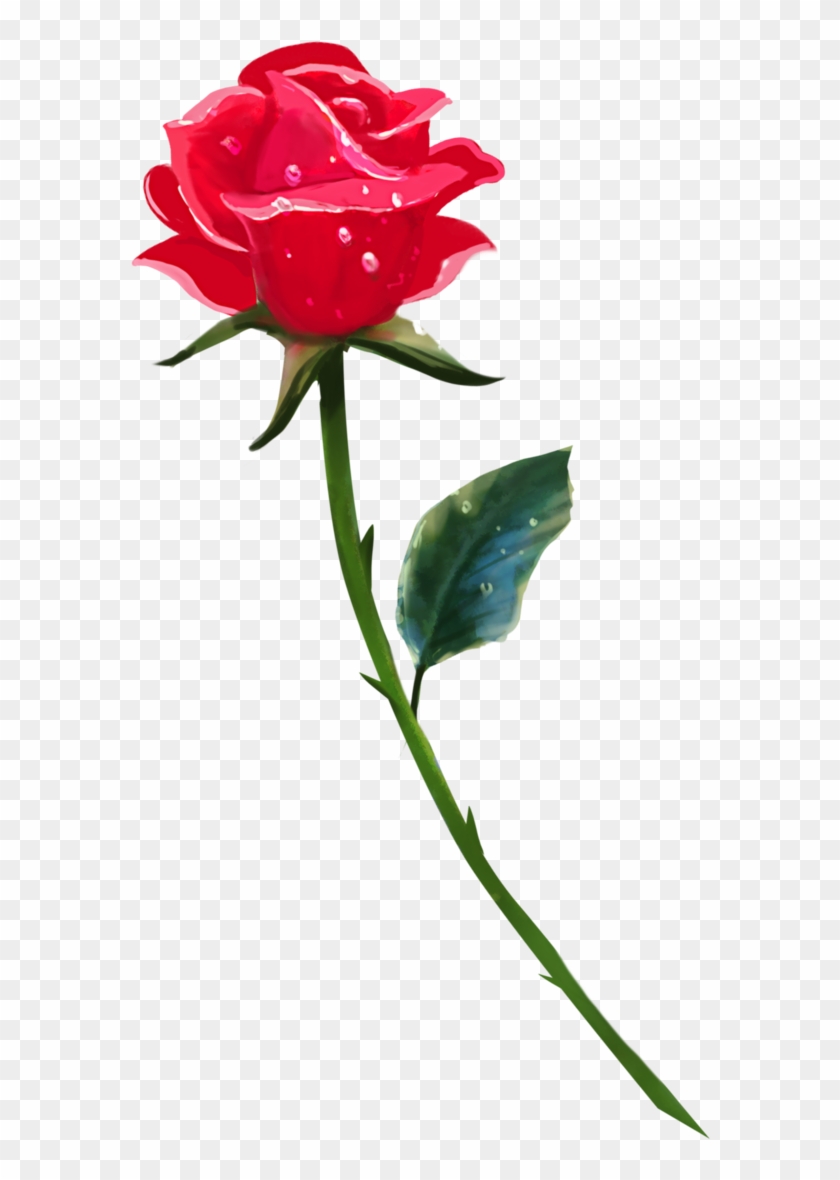 Detail Single Rose Png Nomer 6