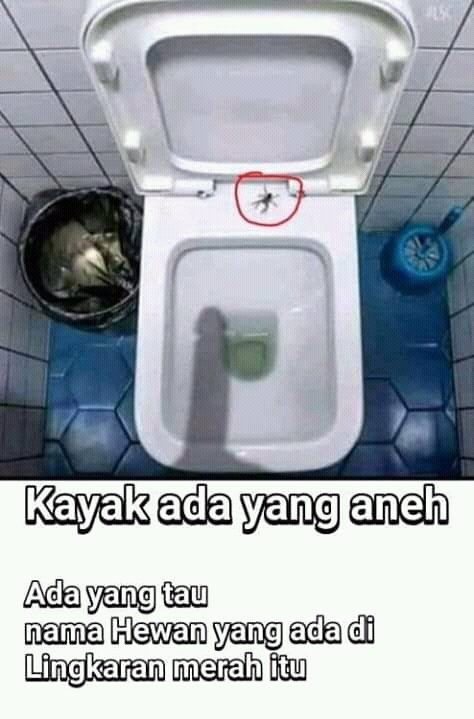 Detail Wc Umum Lucu Nomer 34