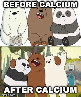 Detail We Bare Bears Meme Nomer 12