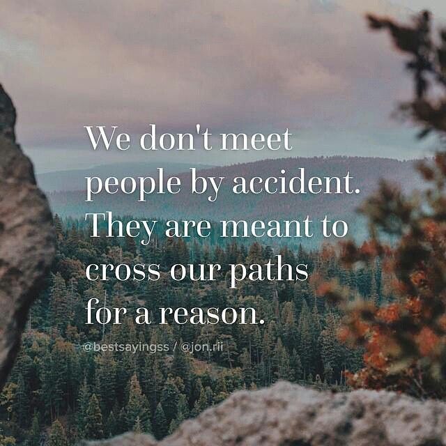 We Didn T Meet By Accident Quotes - KibrisPDR