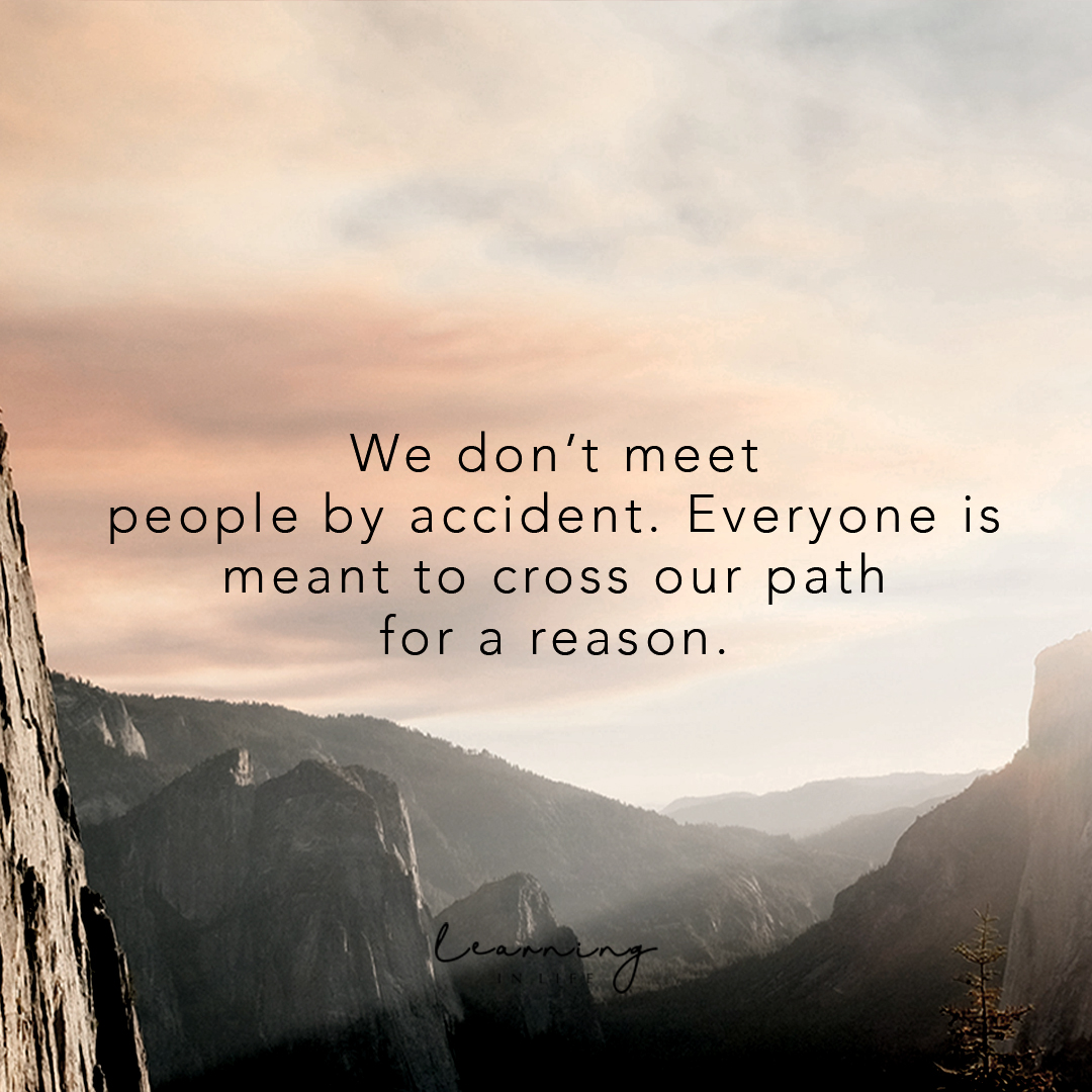 Download We Didn T Meet By Accident Quotes Nomer 13