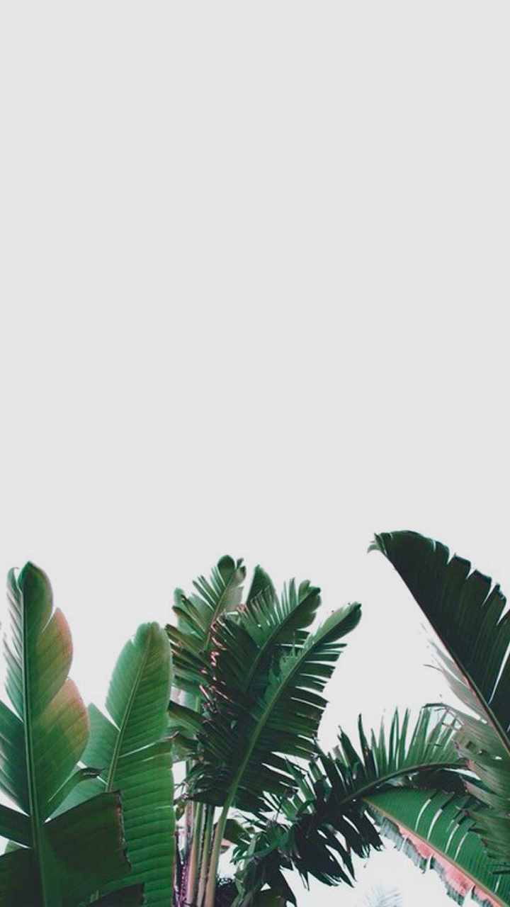 Detail We Heart It Background Nomer 3
