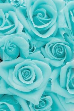 Detail We Heart It Background Tosca Nomer 6