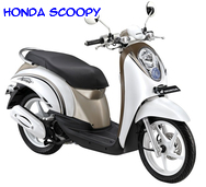 Detail We Love Honda Scoopy Nomer 42