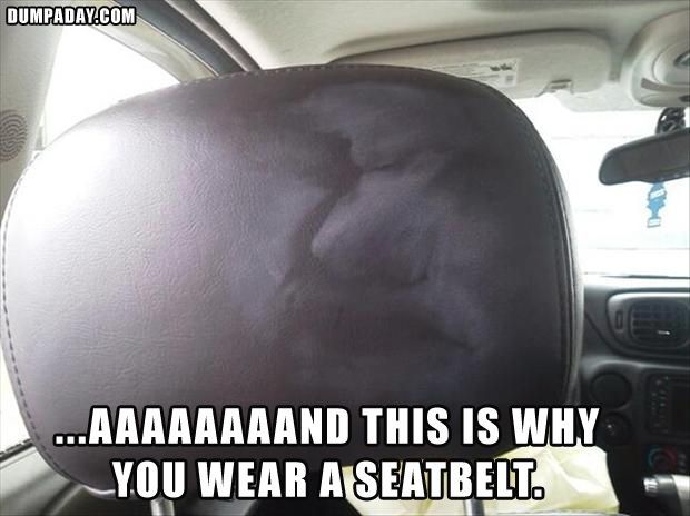 Detail Wear Seat Belt Quotes Nomer 30