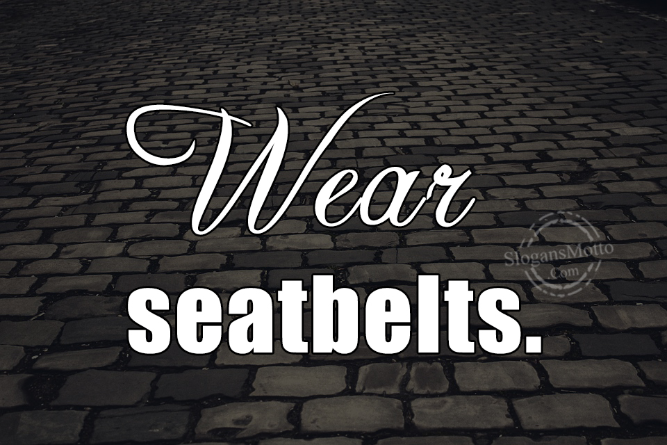 Detail Wear Seat Belt Quotes Nomer 42