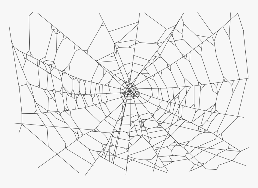 Detail Web Spider Png Nomer 17