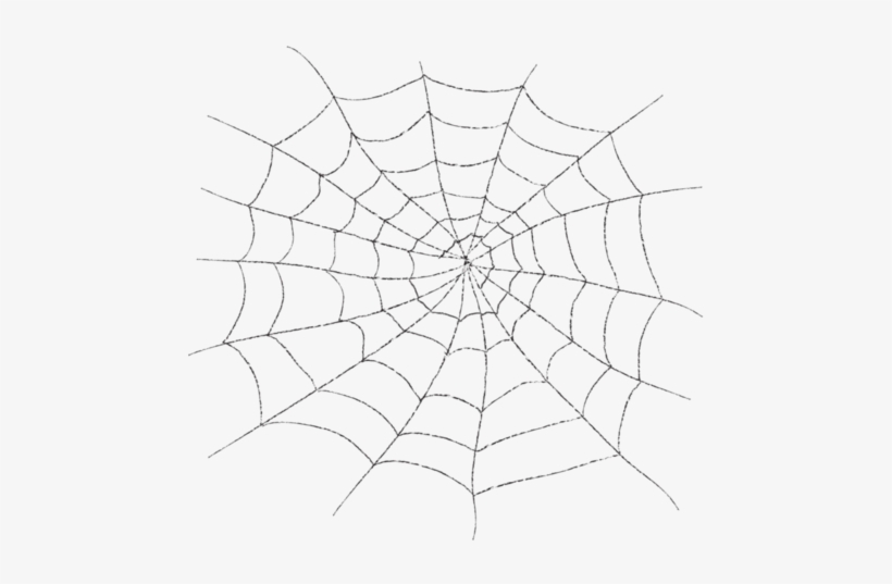 Detail Web Spider Png Nomer 20