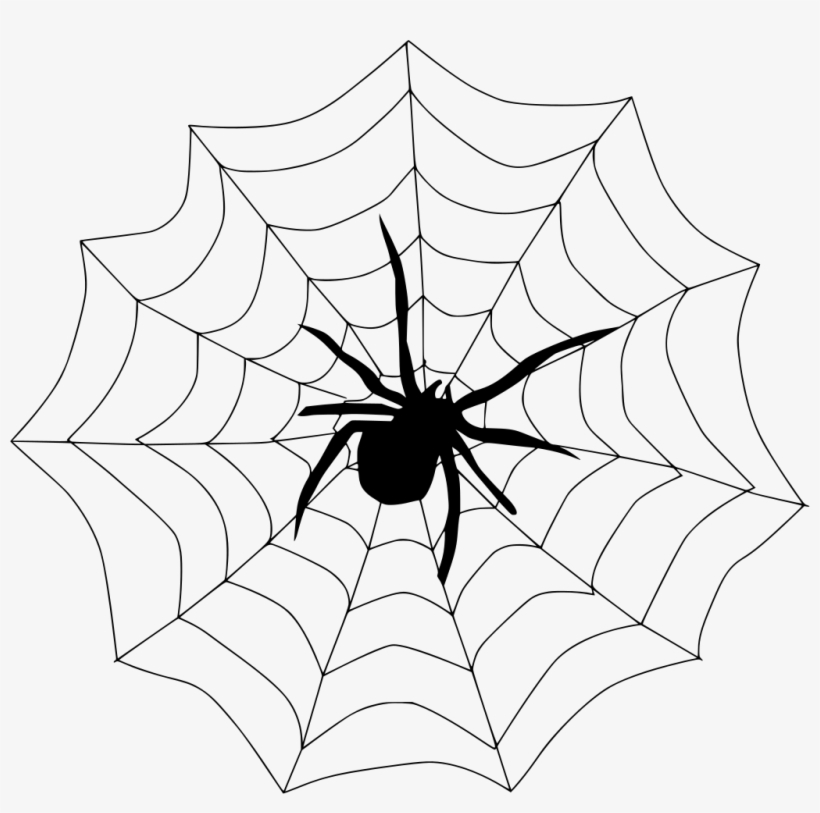 Detail Web Spider Png Nomer 3