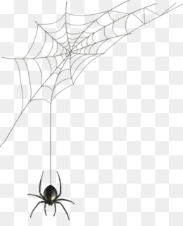 Detail Web Spider Png Nomer 22