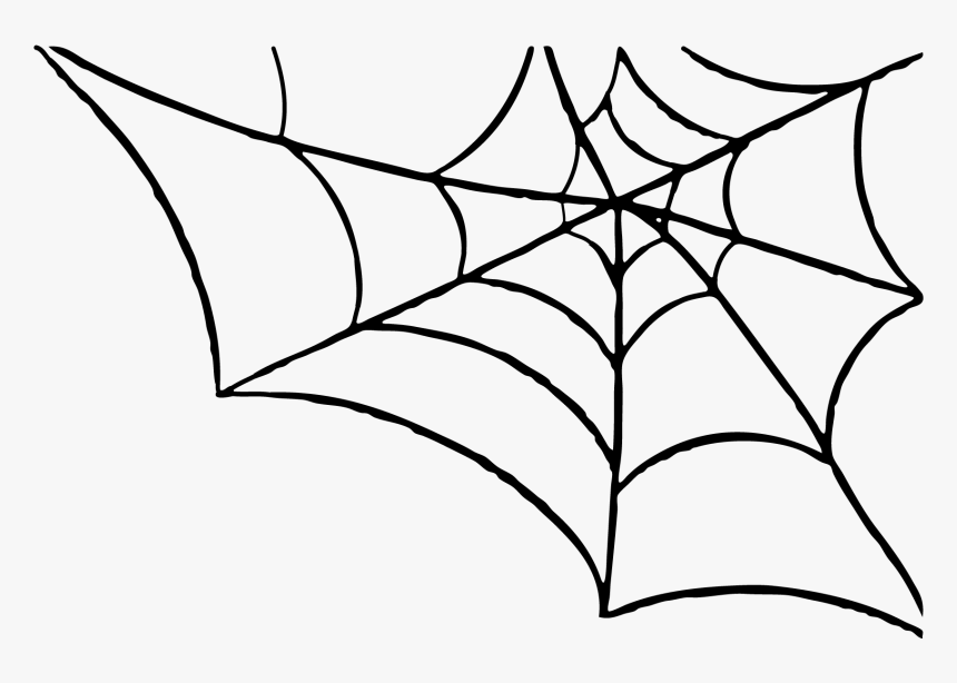 Detail Web Spider Png Nomer 23