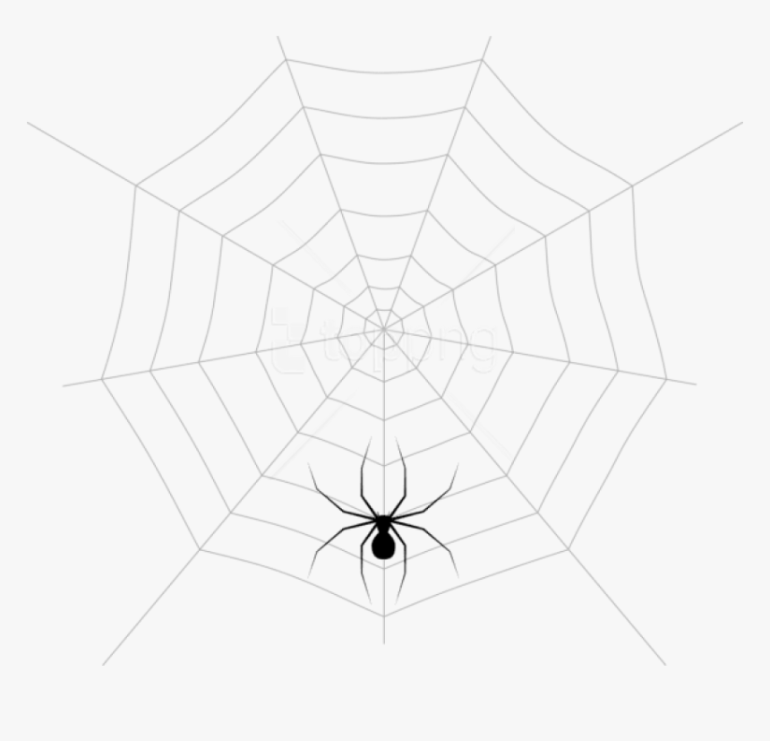 Detail Web Spider Png Nomer 25