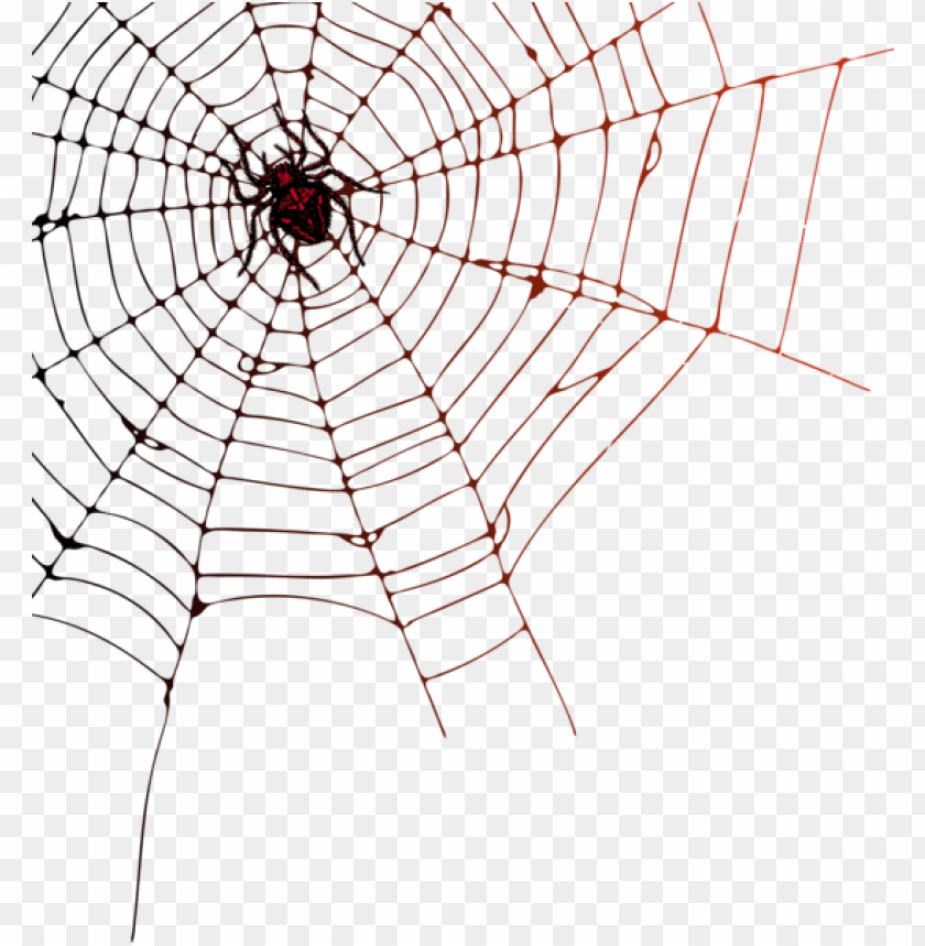 Detail Web Spider Png Nomer 28