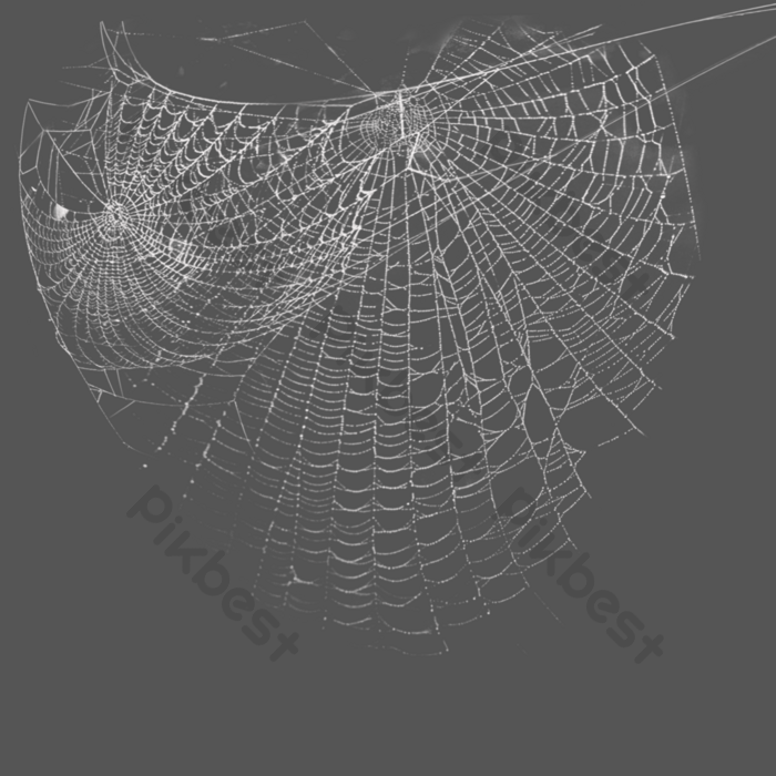 Detail Web Spider Png Nomer 29