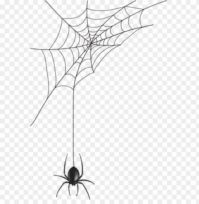 Detail Web Spider Png Nomer 4