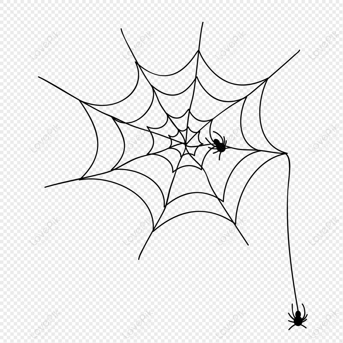 Detail Web Spider Png Nomer 34