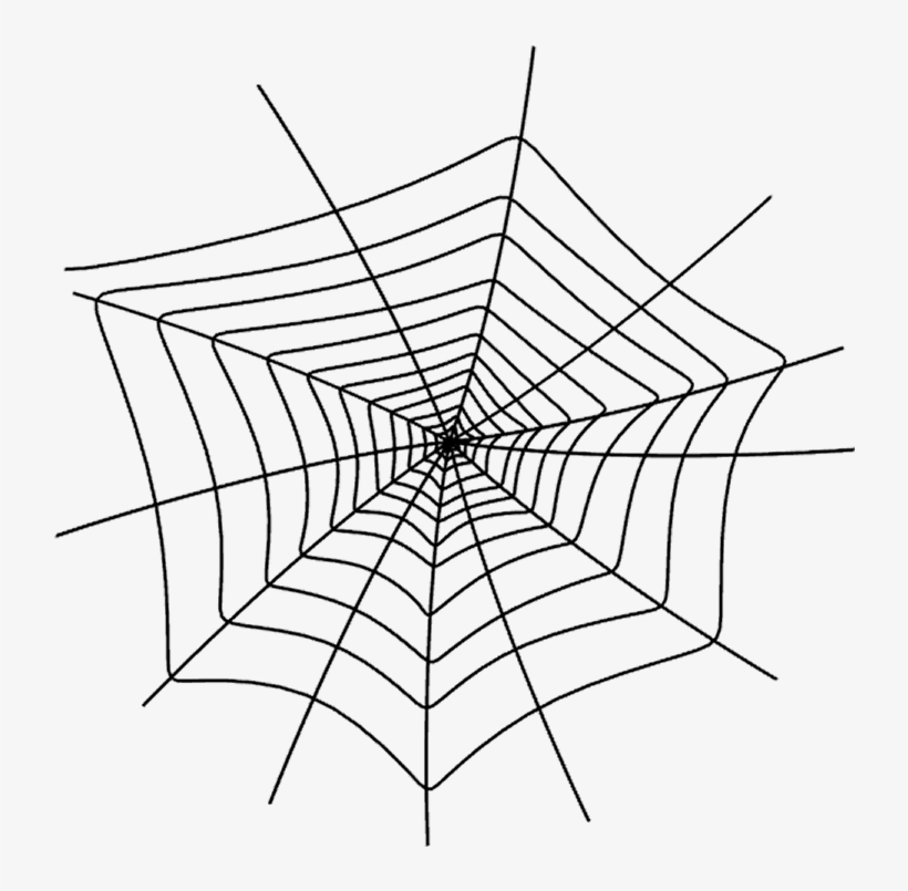 Detail Web Spider Png Nomer 35