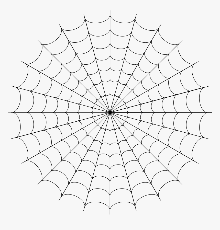 Detail Web Spider Png Nomer 5
