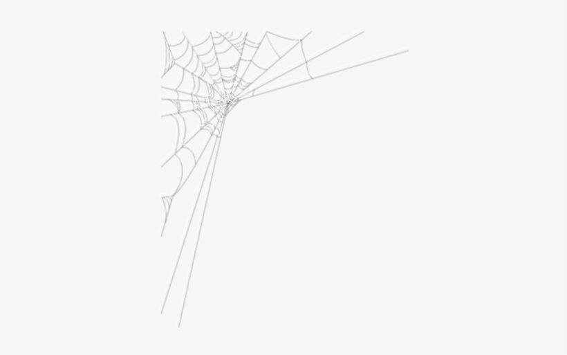 Detail Web Spider Png Nomer 41