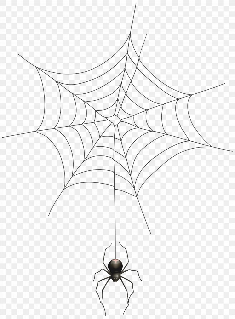 Detail Web Spider Png Nomer 42