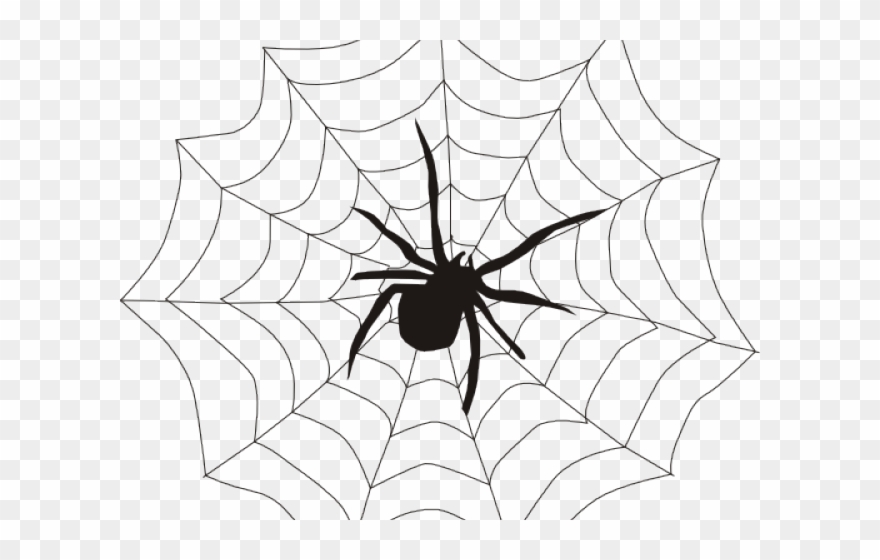 Detail Web Spider Png Nomer 43