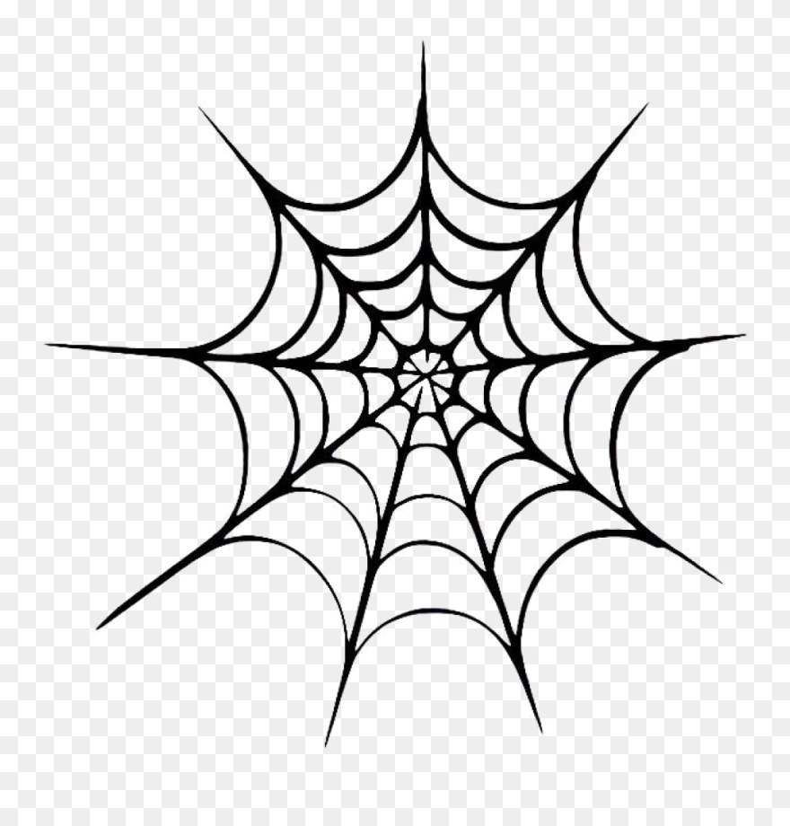 Detail Web Spider Png Nomer 44