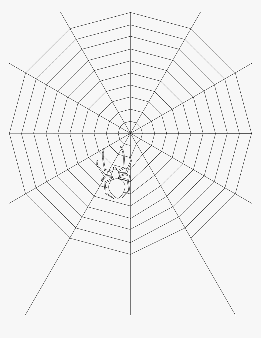 Detail Web Spider Png Nomer 45